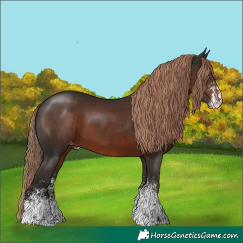 Horse Color:White Spotted Liver Chestnut Varnish Rabicano 