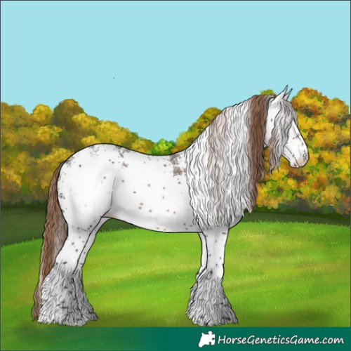 Horse Color:White Spotted Liver Chestnut Rabicano 