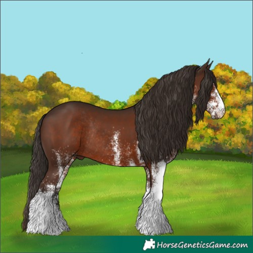 Horse Color:White Spotted Liver Chestnut Rabicano