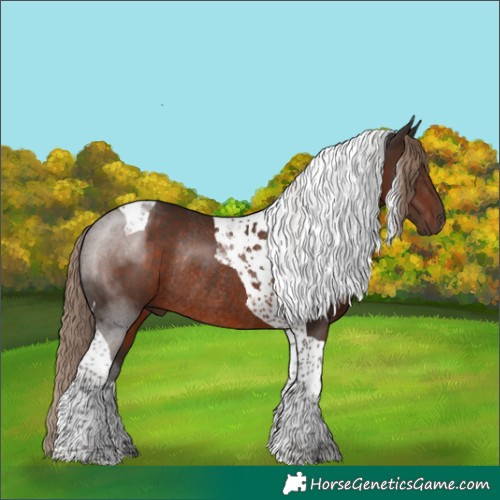 Horse Color:Liver Chestnut Tobiano Rabicano
