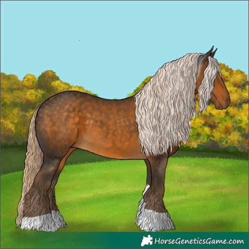 Horse Color:Chocolate Palomino Tobiano