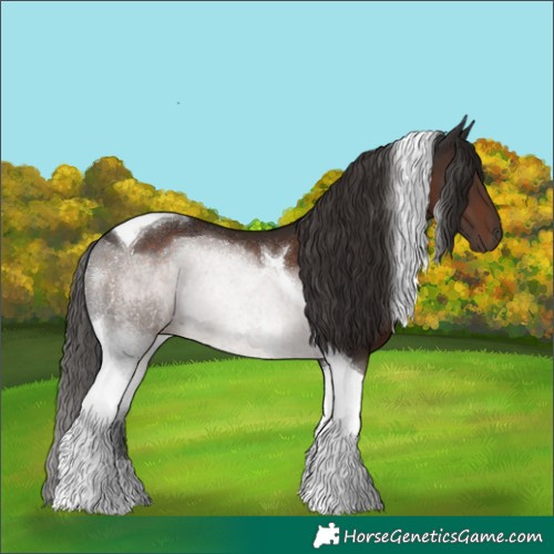 Horse Color:Liver Chestnut Tobiano 