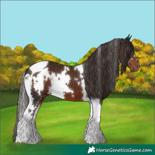 Horse Color:White Spotted Liver Chestnut Tobiano