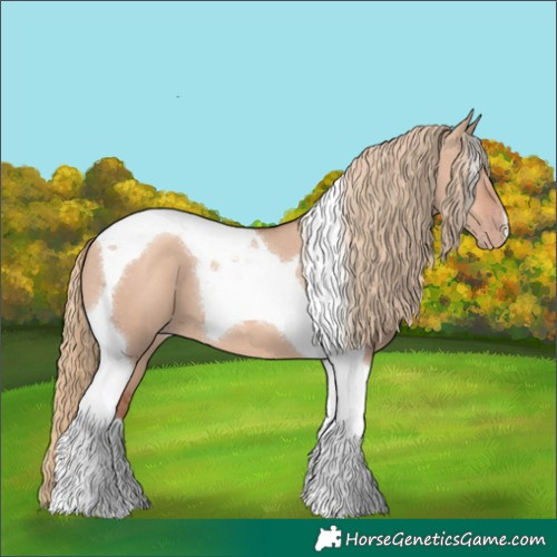 Horse Color:Gold Champagne Dun Tobiano