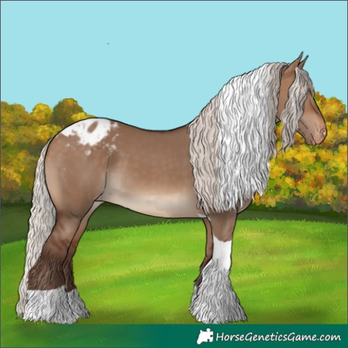 Horse Color:Silver Brown Dun Tobiano Varnish