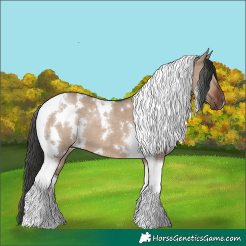 Horse Color:White Spotted Liver Red Dun Tobiano 