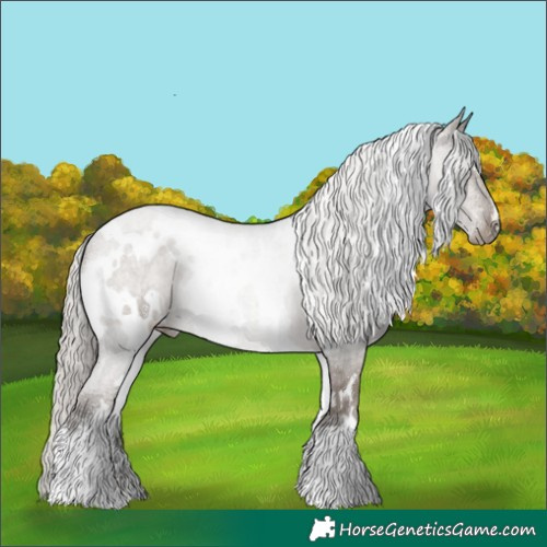 Horse Color:White Spotted Silver Grullo 