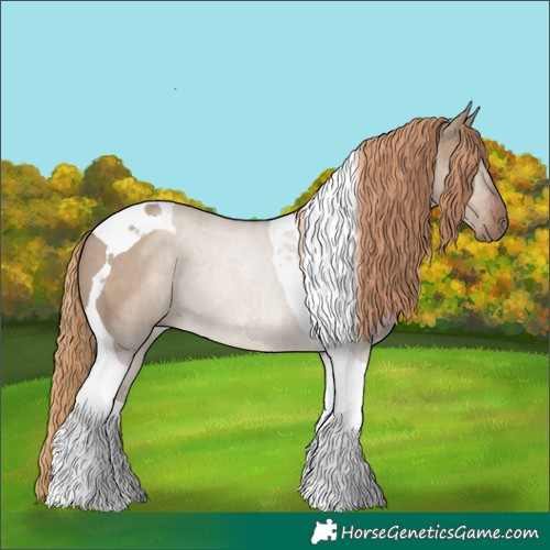 Horse Color:Liver Red Dun Tobiano Rabicano