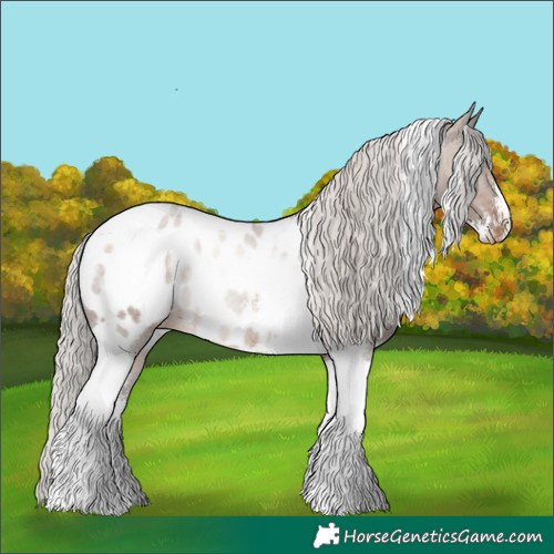 Horse Color:Silver Brown Dun Sabino Tobiano Near Leopard Rabicano
