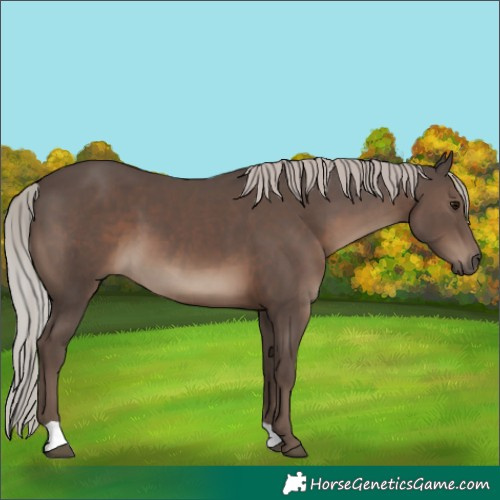 Horse Color:Silver Black