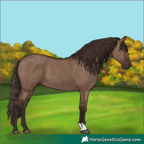 Horse Color:Liver Red Dun 