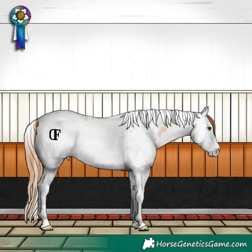 Horse Color:Red Dun Splash Tobiano Blanket Rabicano 