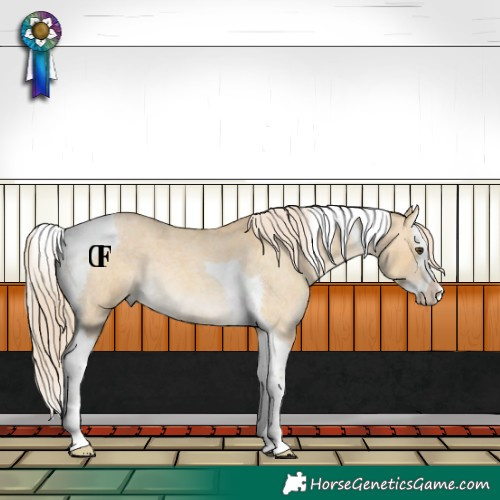 Horse Color:Palomino Roan Dun Splash Tobiano Rabicano 