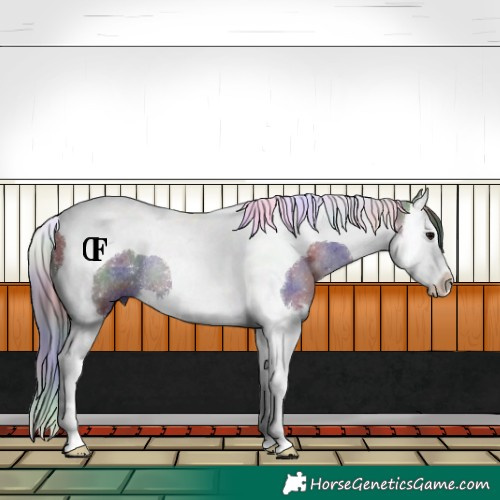 Horse Color:Nacre Grullo Splash Tobiano Rabicano