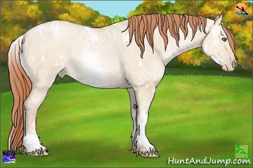 Horse Color:White Spotted Buckskin Ice Pearl Dun 