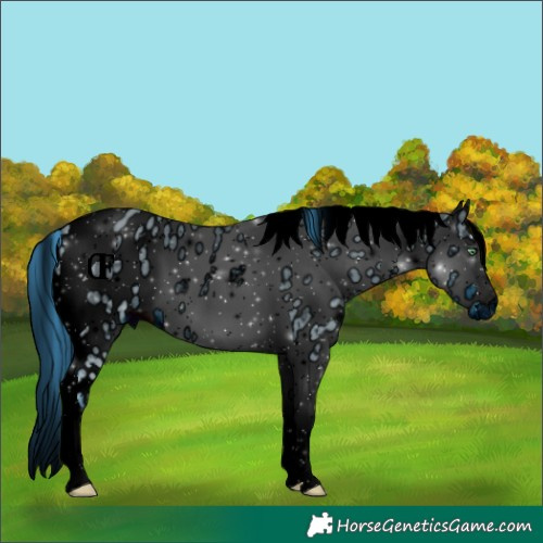 Horse Color:ERROR: UNKNOWN ANOMALY