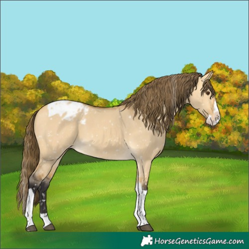 Horse Color:Buckskin Dun Splash Tobiano Snowflake Varnish 