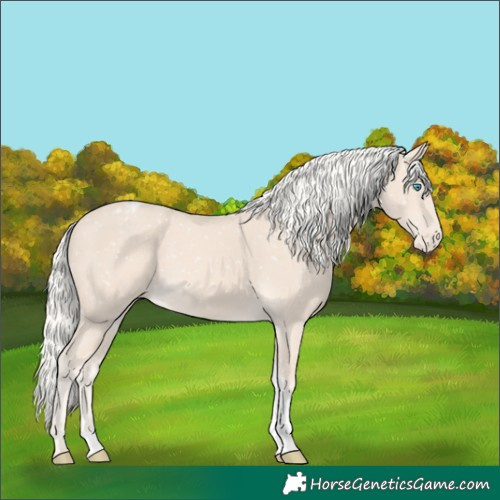 Horse Color:Cremello Tobiano Snowflake Varnish