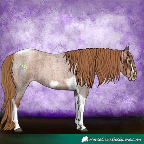 Horse Color:Gray Liver Red Roan Pearl Tobiano Frame