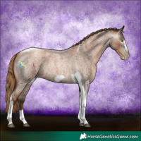 Horse Color:Gray Liver Red Roan Pearl Tobiano Frame