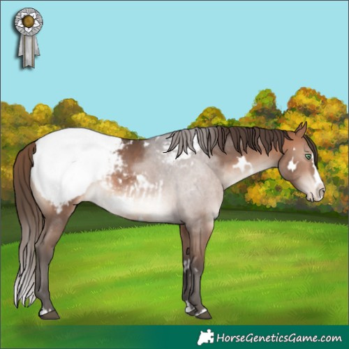 Horse Color:White Spotted Bay Mushroom Splash Snowcap