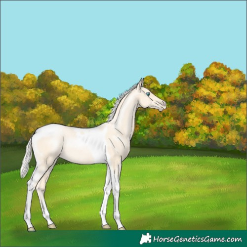 Horse Color:Silver Buckskin Pearl Tobiano 
