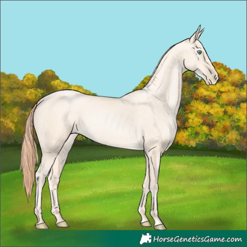 Horse Color:Amber Cream Champagne Pearl 