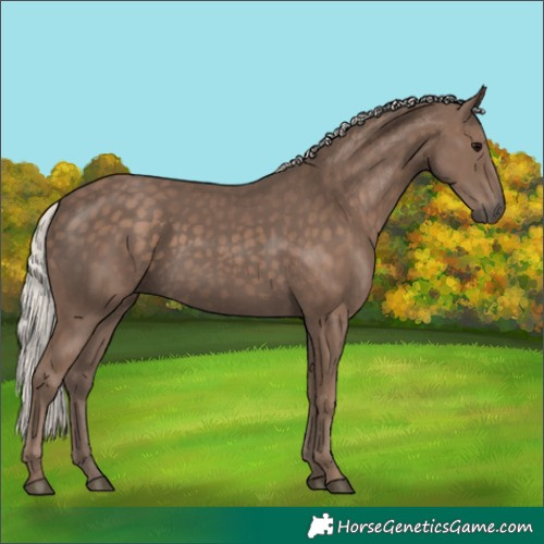 Horse Color:Silver Black 