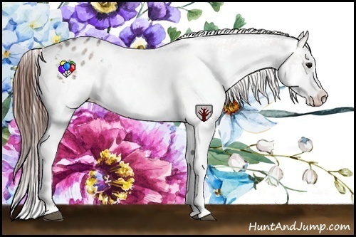 Horse Color:White Spotted Brown Roan Dun Varnish