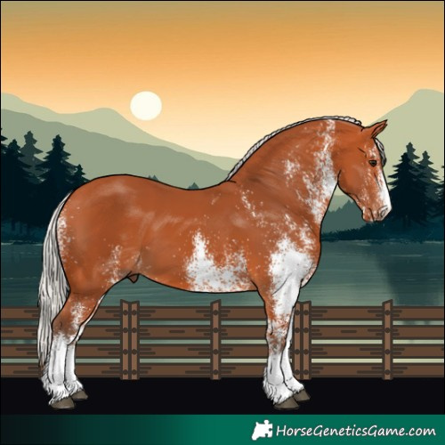 Horse Color:White Spotted Silver Bay 