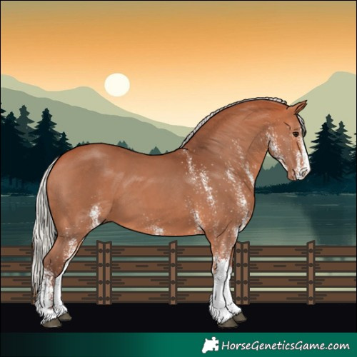 Horse Color:White Spotted Silver Bay