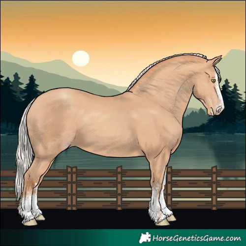 Horse Color:White Spotted Silver Amber Champagne