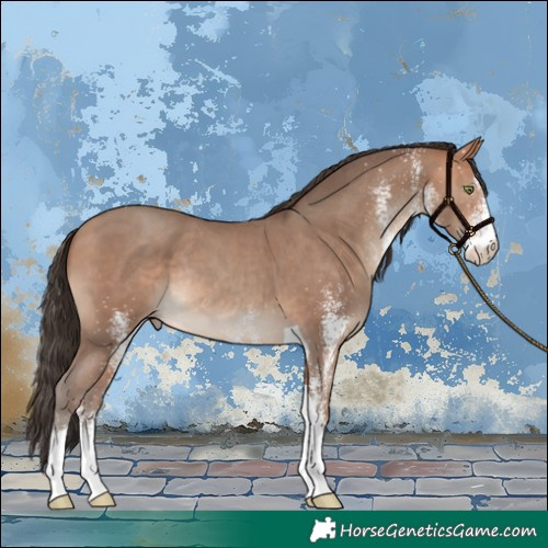 Horse Color:White Spotted Amber Champagne Tobiano Rabicano
