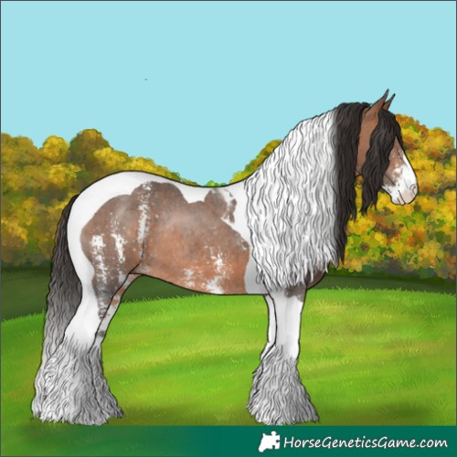 Horse Color:Bay Sabino Tobiano Rabicano 