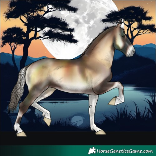 Horse Color:Liver Red Onyx