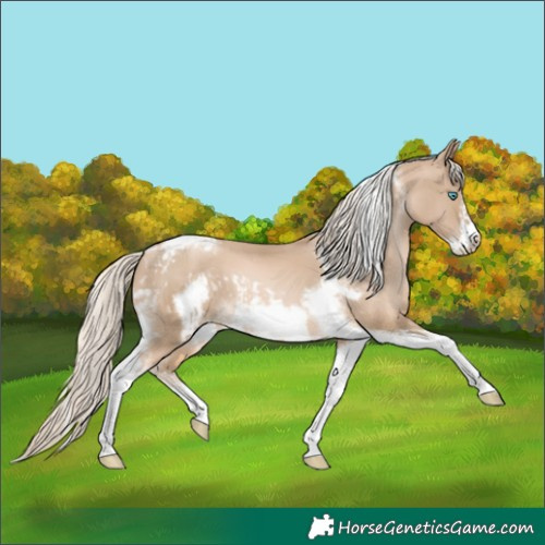 Horse Color:Chocolate Palomino Pearl Tobiano Frame  and Chocolate Palomino Pearl Tobiano Frame 
