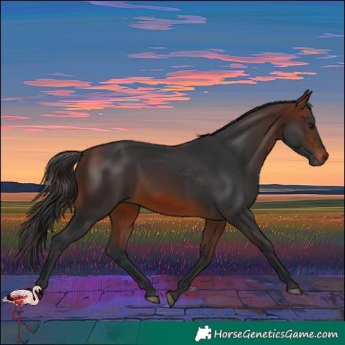 Horse Color:Brown 