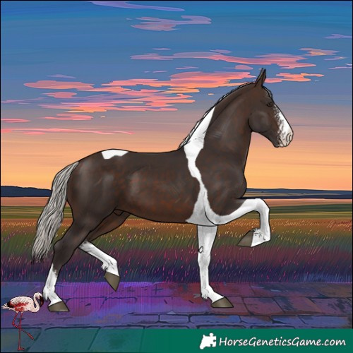 Horse Color:Silver Brown Sabino Tobiano