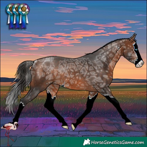Horse Color:Brown Ice Sabino Splash Rabicano
