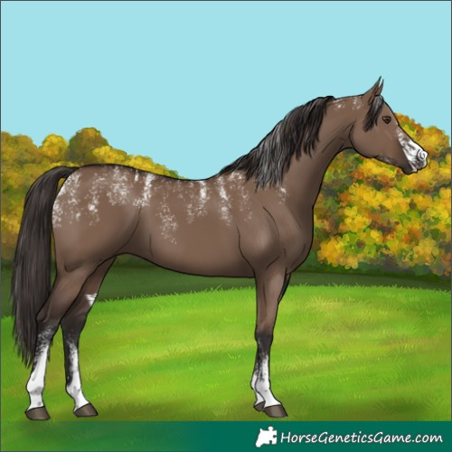 Horse Color:Powder White Liver Red Dun