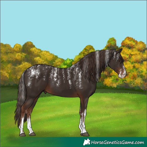 Horse Color:Powder White Liver Chestnut