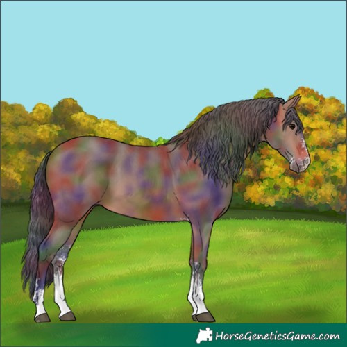 Horse Color:Nacre Bay Sabino