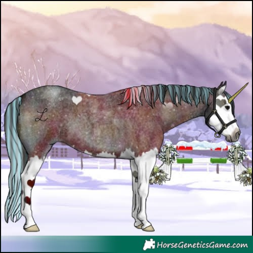 Horse Color:Gray Painted Midnight Brown Roan Onyx Splash 
