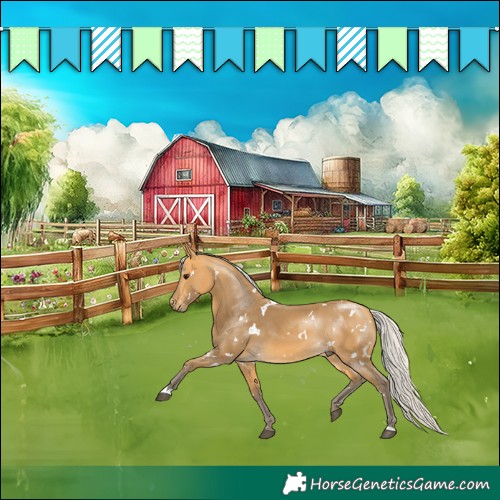 Horse Color:White Spotted Silver Buckskin Rabicano 