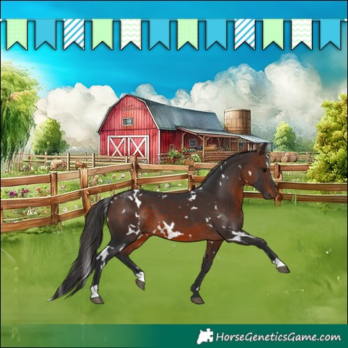 Horse Color:White Spotted Brown 