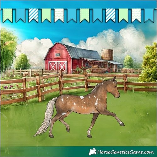 Horse Color:White Spotted Chocolate Palomino Rabicano 