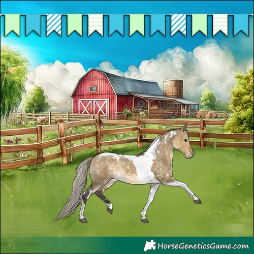 Horse Color:White Spotted Silver Buckskin Dun Tobiano