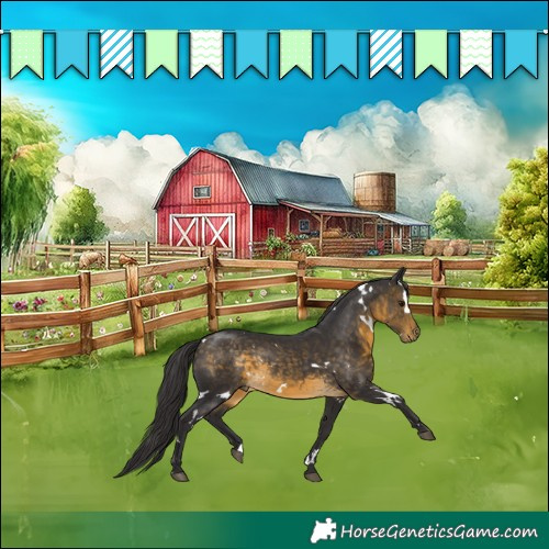 Horse Color:White Spotted Buckskin