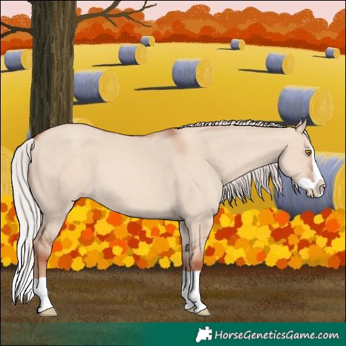 Horse Color:Silver Classic Champagne Dun Splash