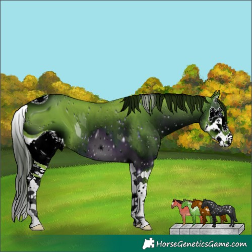 Horse Color:ERROR: UNKNOWN ANOMALY